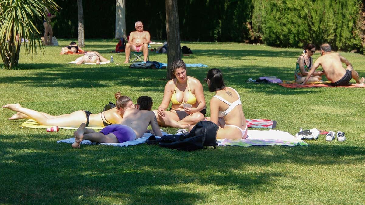 An oasis of greenery in full Zaragoza: the pool with more grass is in this neighborhood
