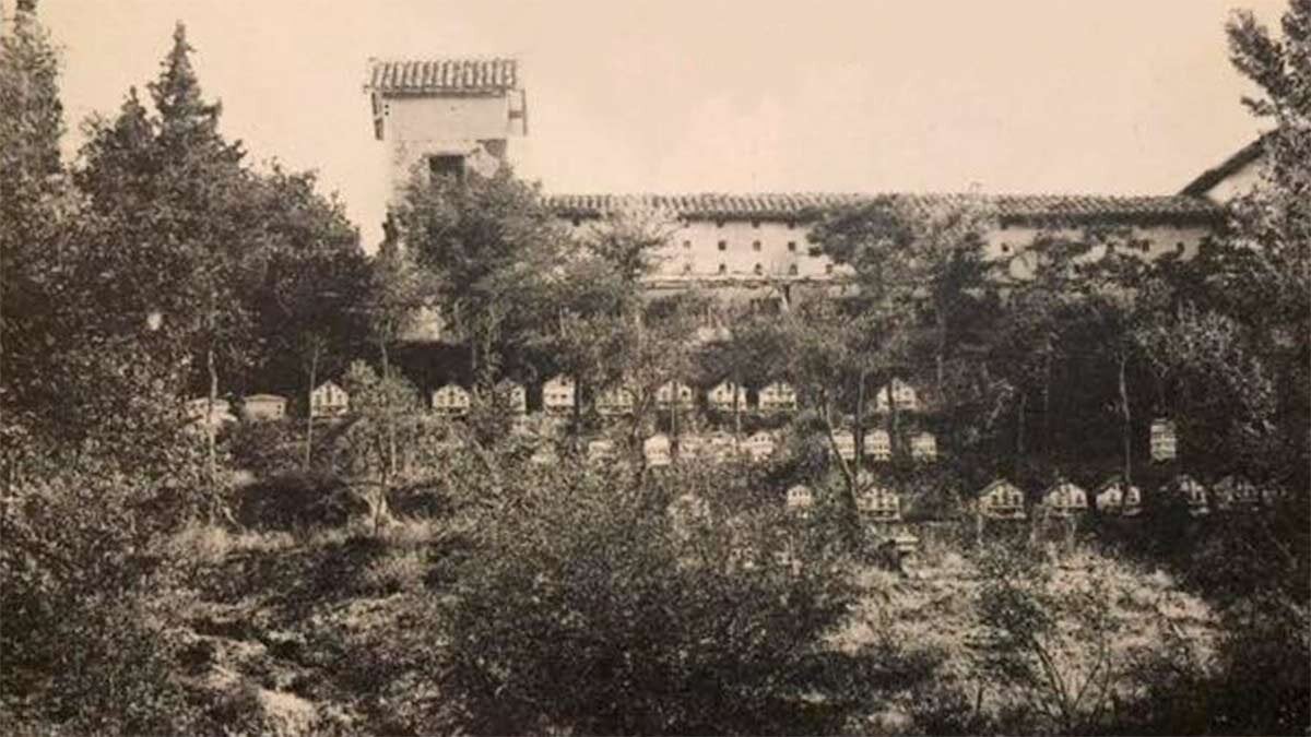 What was Julieta’s fifth? The incredible idyllic garden for Zaragoza ride more than a century ago