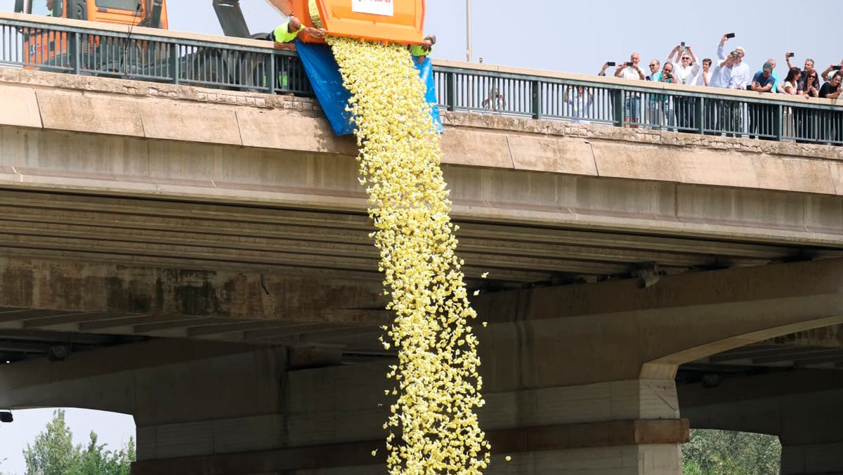 Zaragoza is dyed yellow: 20,000 rubber ducks cross the Ebro for a good cause