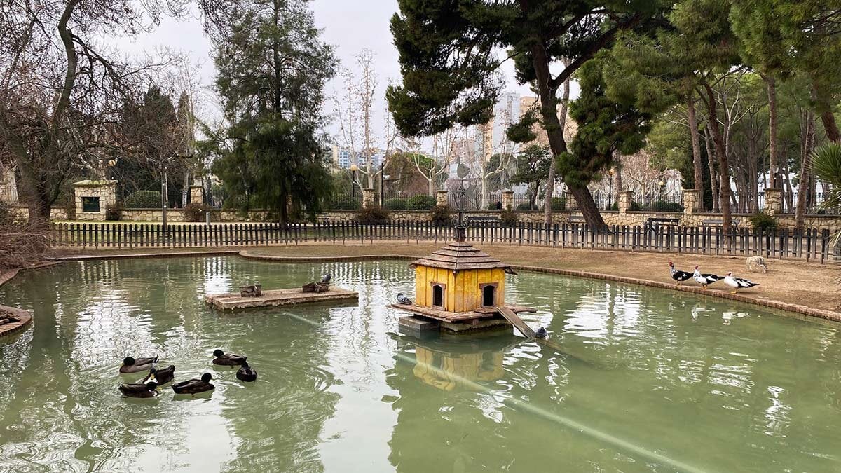 This will be the new Botanical Garden of the Grande Park: pond, banks and medicinal species