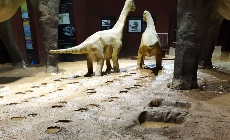 Teruel expands its Jurassic Park with new dinosaur fingerprint deposits