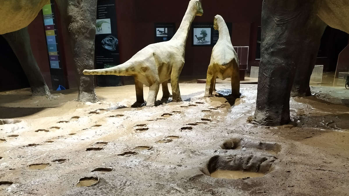 Teruel expands its Jurassic Park with new dinosaur fingerprint deposits