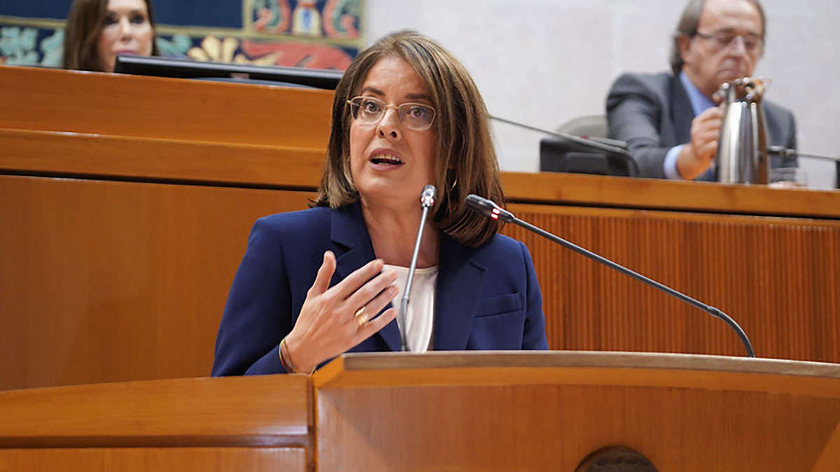 Aragon’s justice asks to regulate the use of devices in classrooms to avoid inequalities