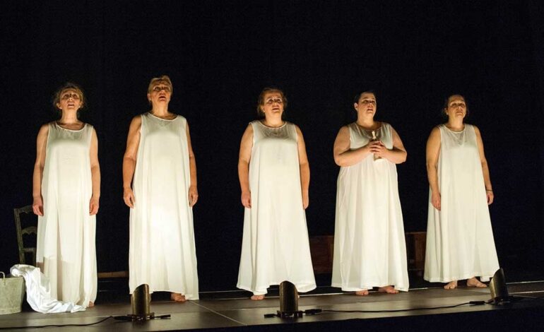 The V amateur theater sample closes season with spectators record
