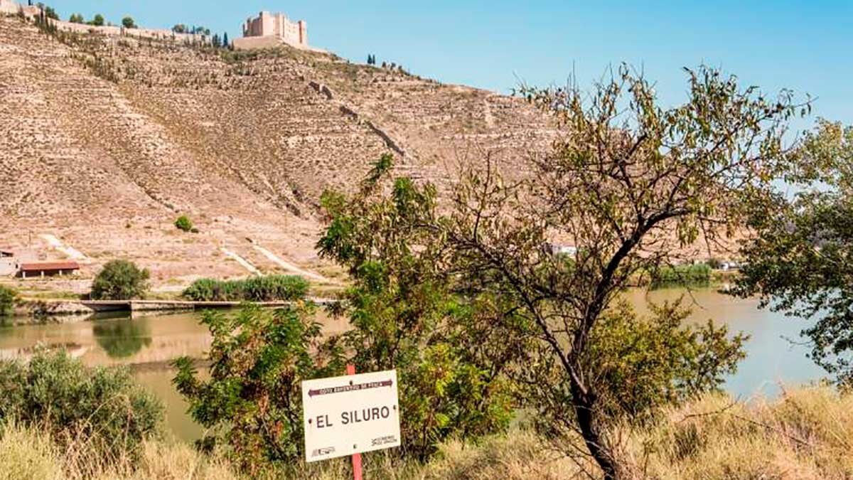 is the “Caribbean of Aragon”: the reservoir with 500 kilometers of coast and cliffs that is like going to the beach
