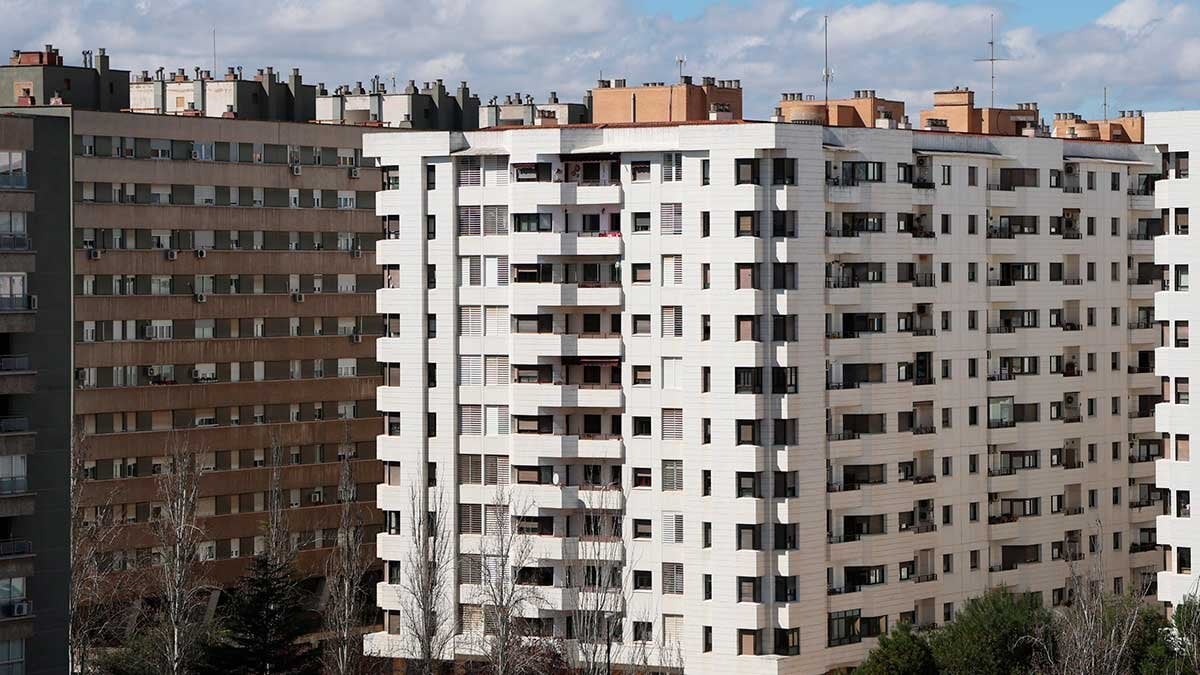 Casting of families to rent: each floor receives 57 candidacies in Zaragoza