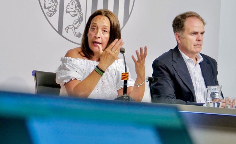 Carmen Susín: “There are profiles of complex minors for which we have no tools”