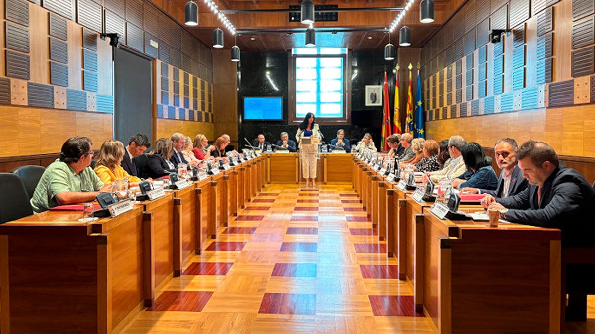 Lorena Orduna announces a face washing of the Navarra Square and the roads of the Miguel Servet Park