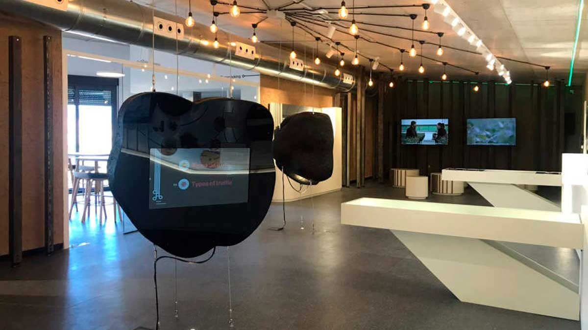 El Centro de Interpretación de la Trufa está distribuido en varios espacios diferenciados pero interconectados, lo que permite una experiencia fluida y estructurada para el visitante. Foto: Turismo de Aragón