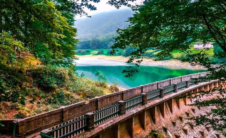 Plans without barriers in Navarra: These are eight accessible escapes ideal to do this summer