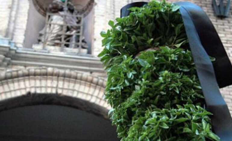 Water her with love? Yes, but not drowning it: what nobody told you about the basil, Huesca symbol