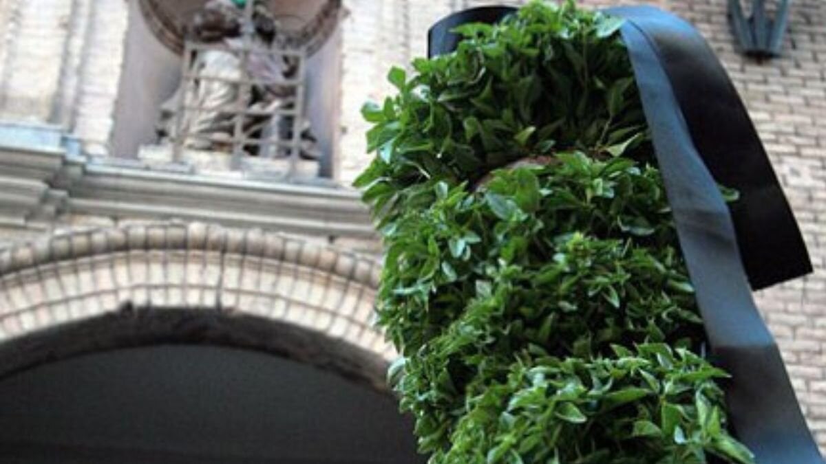 Water her with love? Yes, but not drowning it: what nobody told you about the basil, Huesca symbol