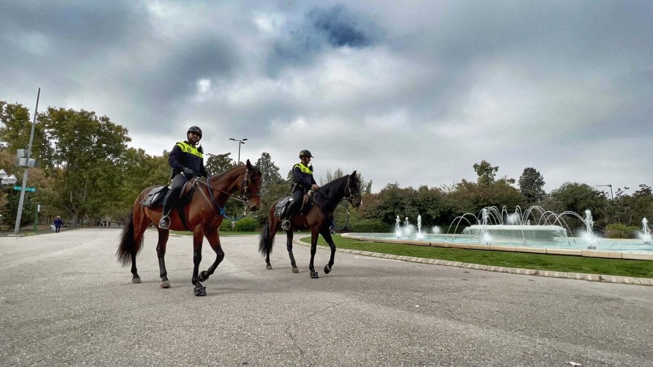 La Unidad de Caballería de la Policía Local de Zaragoza está formada por un equipo de seis agentes, compuesto por una mujer y cinco hombres