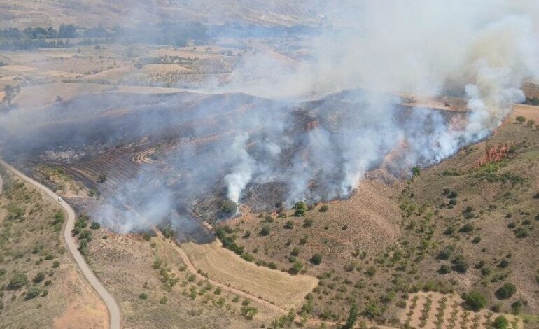 Declared a forest fire in the town of Daroca