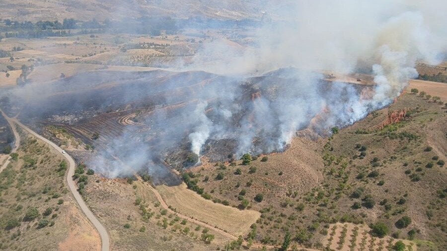 Declared a forest fire in the town of Daroca
